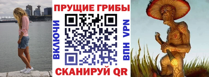 Галлюциногенные грибы Cubensis  Печоры 